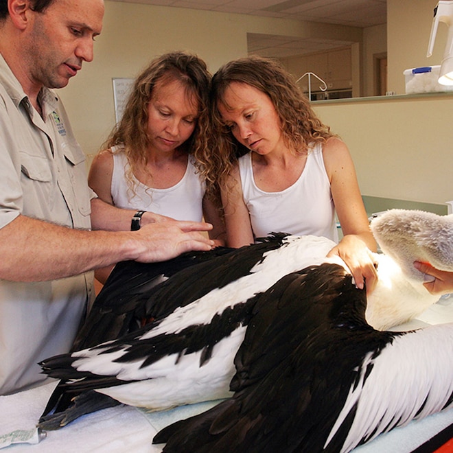 Why These Identical Twins Are Going Viral After Carjacking Incident